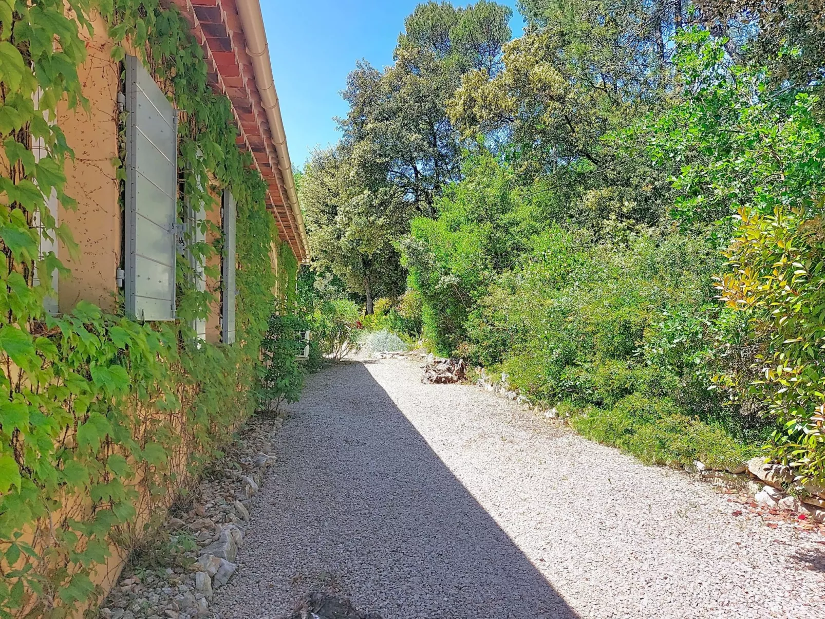 Villa Hestia - Draußen