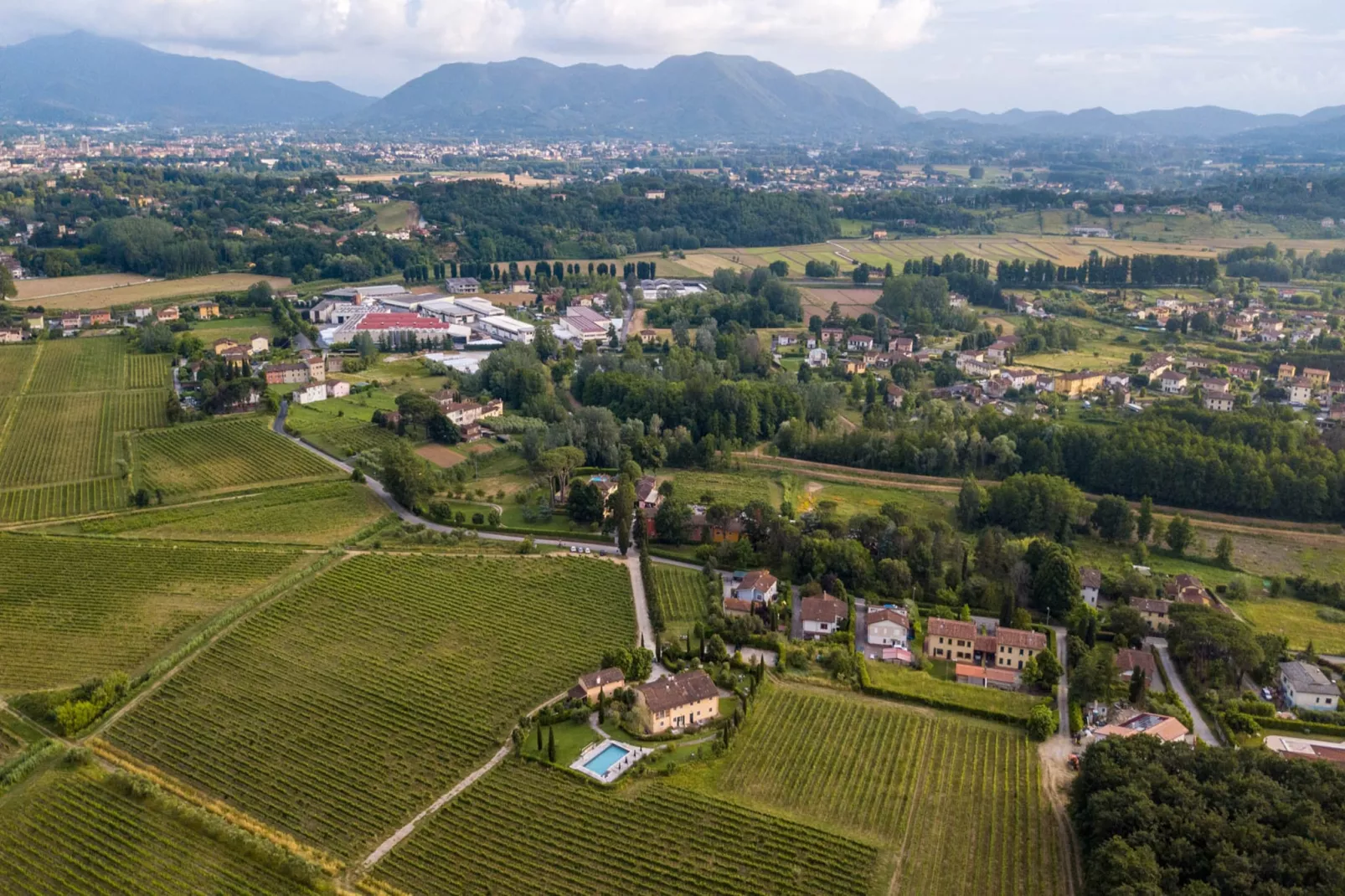 Maria Farmhouse Apartment in Wine Resort in Lucca - Außenbereich Sommer