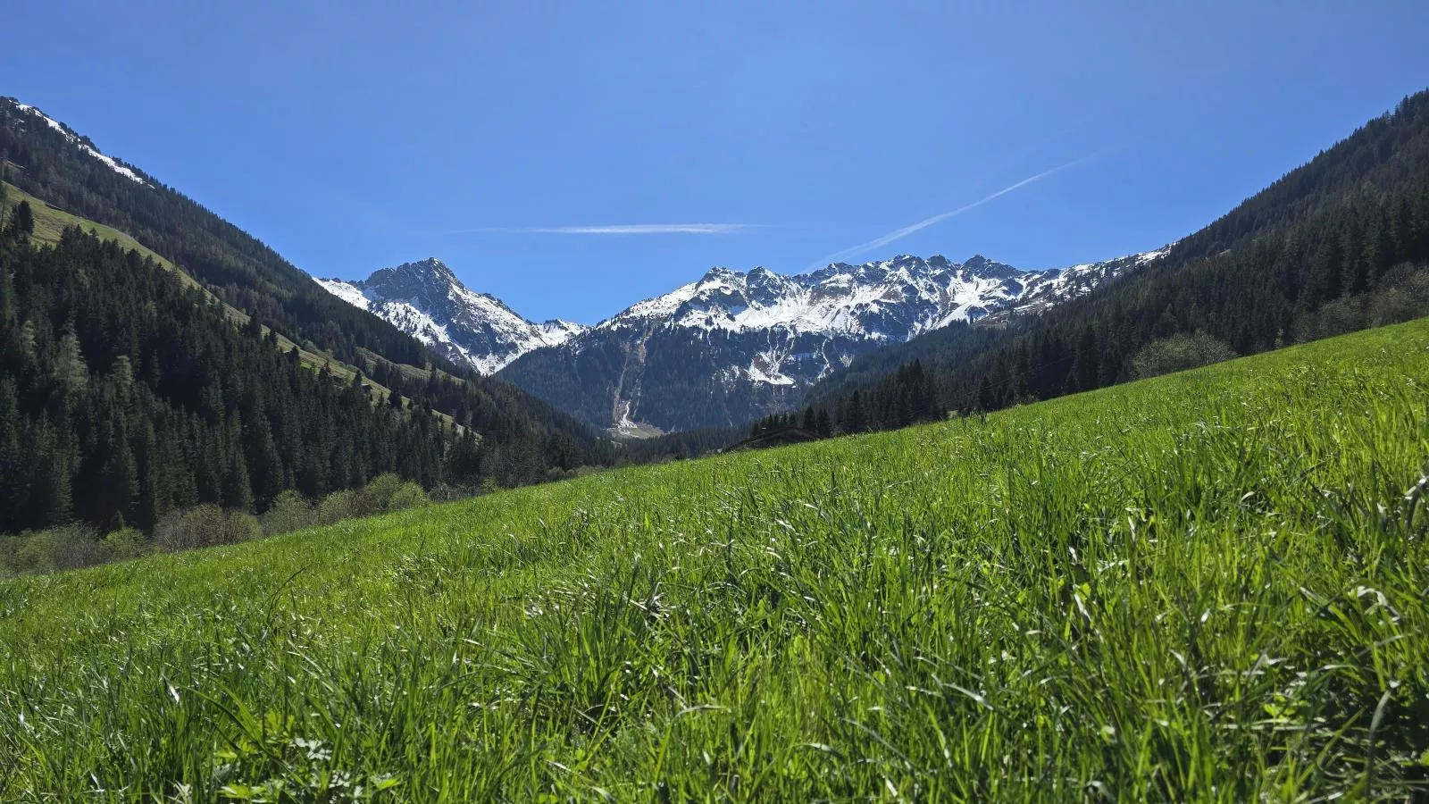 Hacklerhof Top 1 - Aussicht Sommer