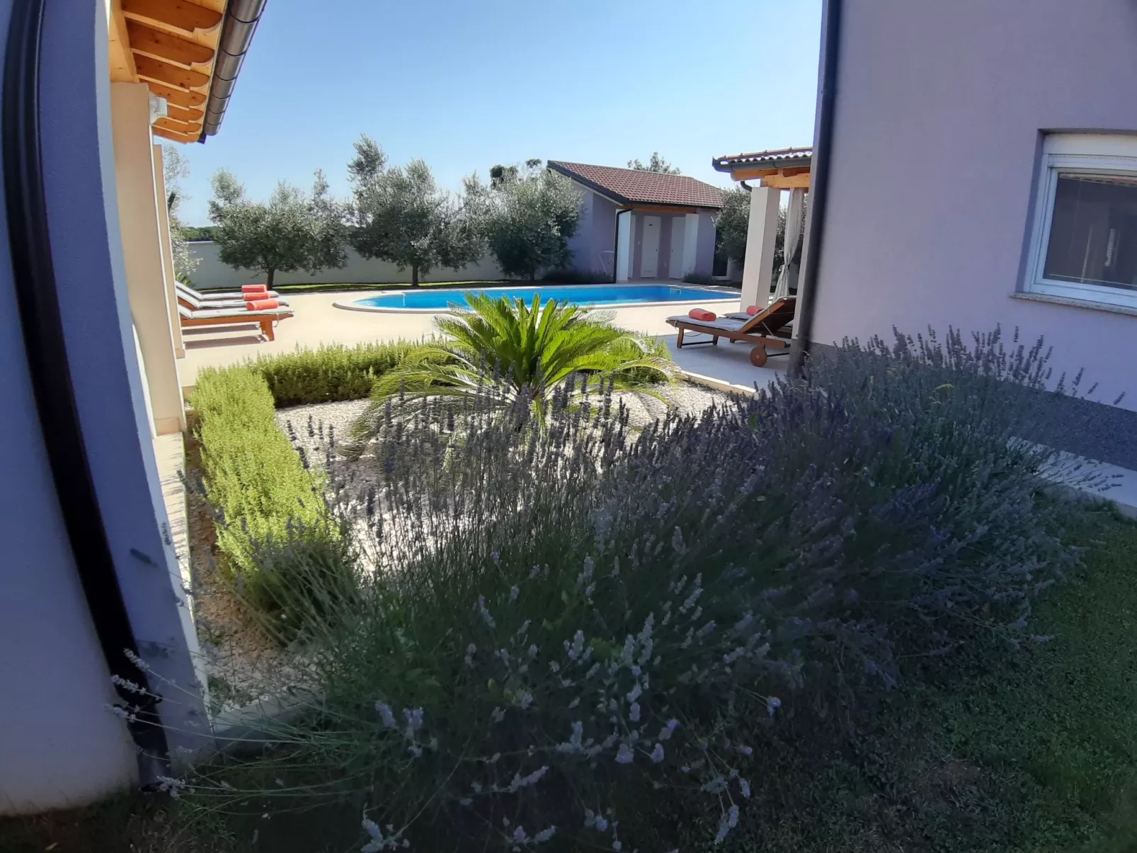 Villa Zeus - Outside