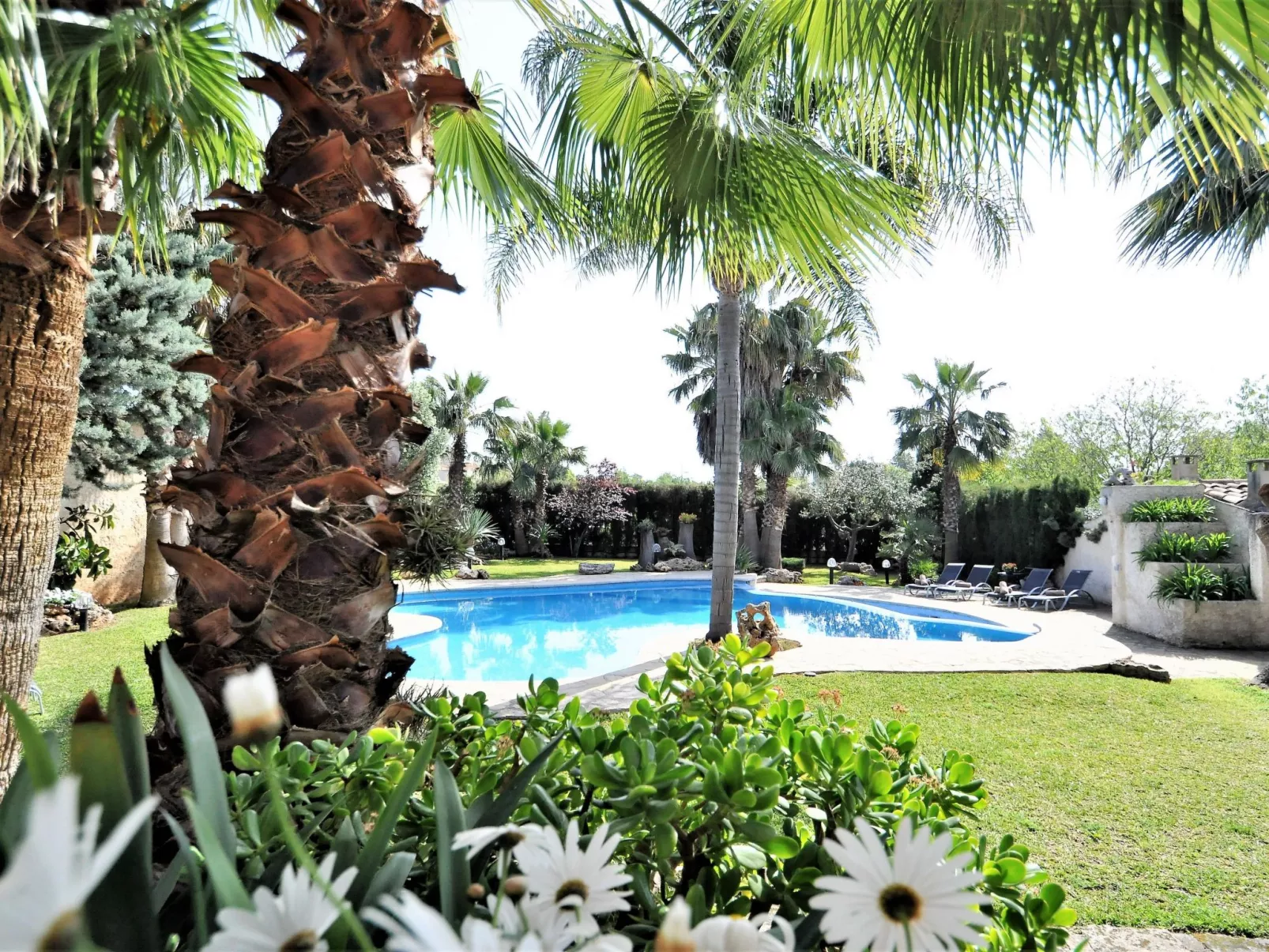 Finca CAN GUAL en Inca para 8 personas con piscina privada y vistas despejadas- - Dehors