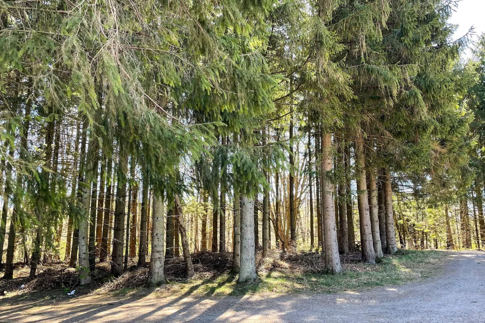 Maison de vacances pour 4 a Kvidinge - Extérieur