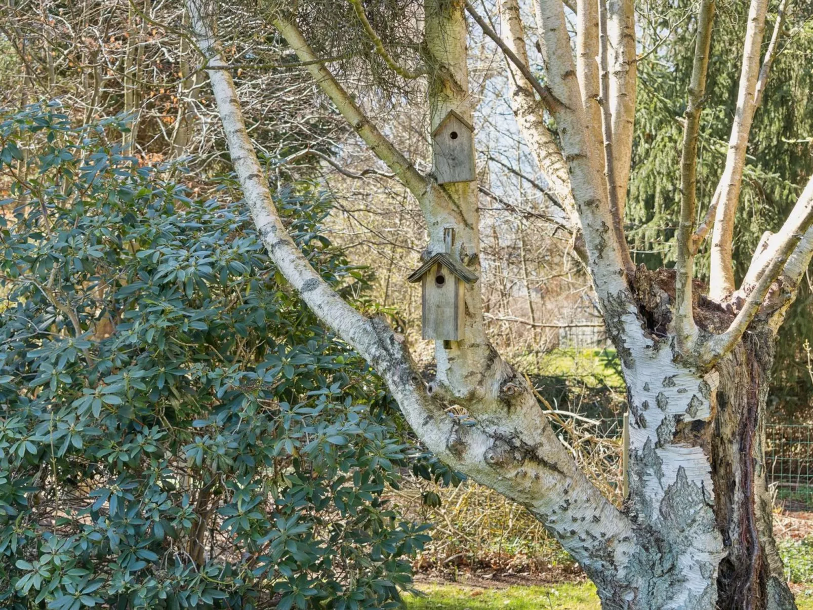 "Emelita" - 1.1km from the sea - Draußen