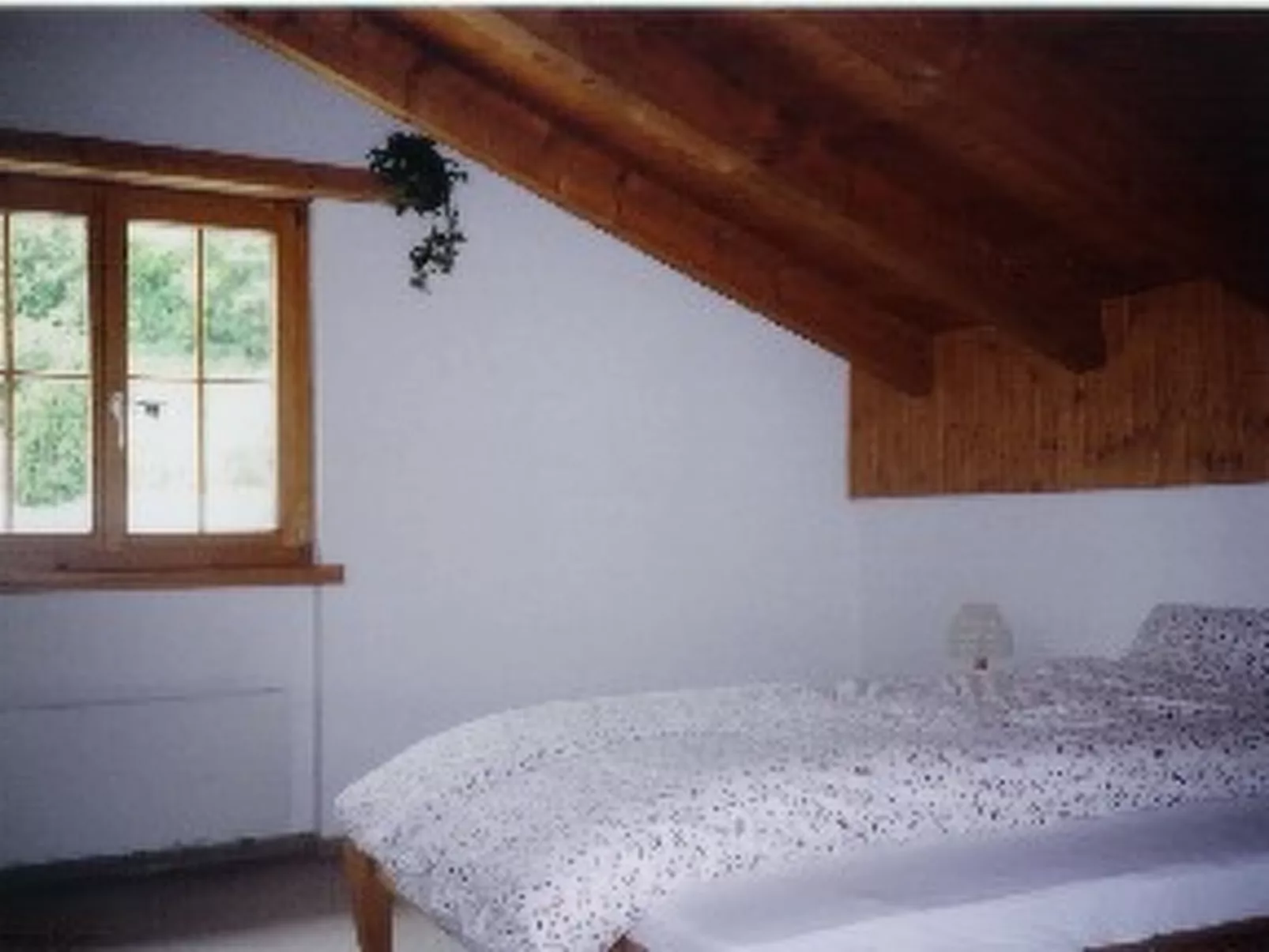 Cascharolas Bellingreri, (Rueras/Sedrun), 653.01 - Dedans