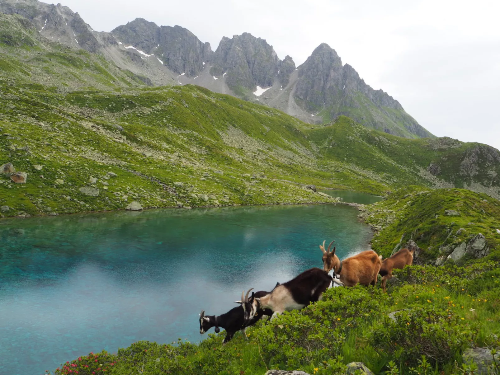 Tegia Veglia / Erlebnisalp Glivers, Sumvitg, (Sumvitg). - Outside