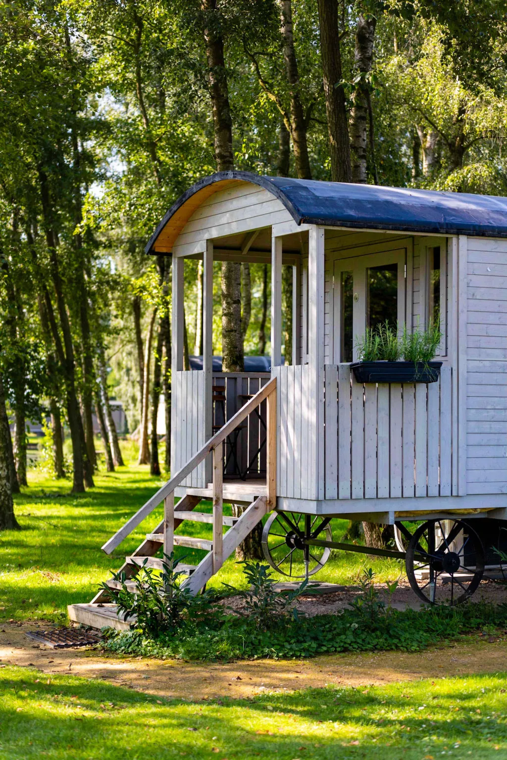 Camping Papillon Kinrooi - Pipowagen 2 p. terras - Dehors