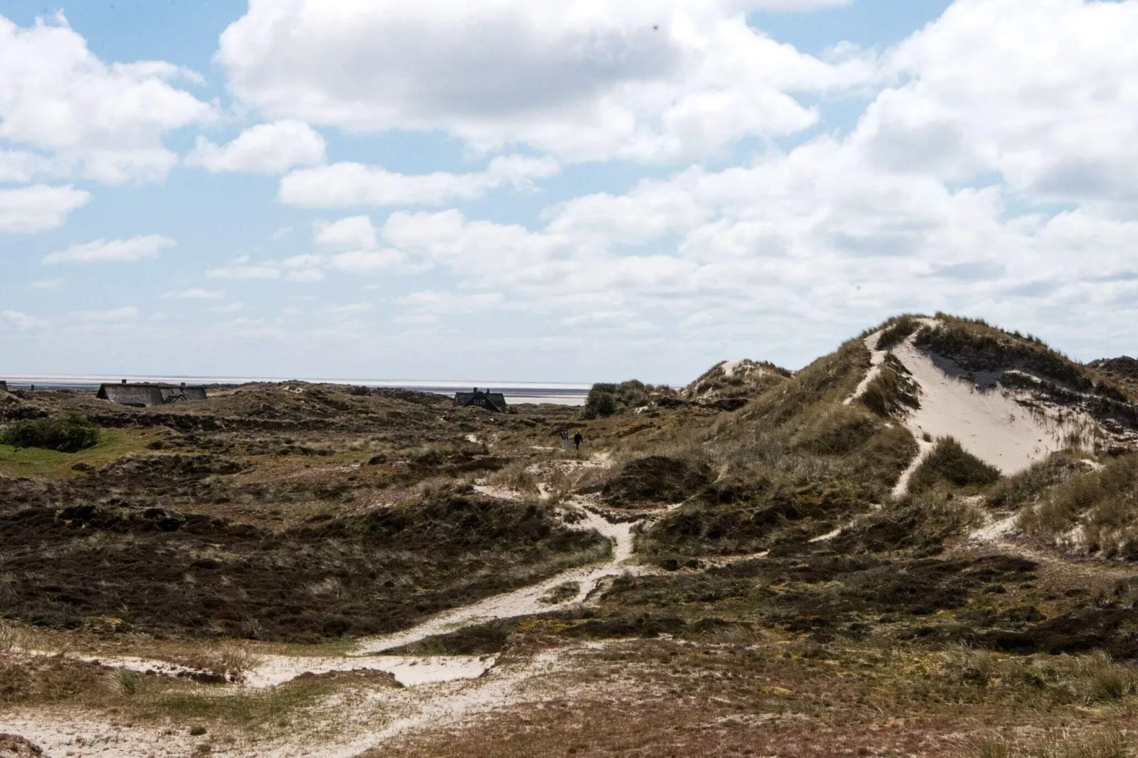 Maison de vacances pour 10 a Fanø