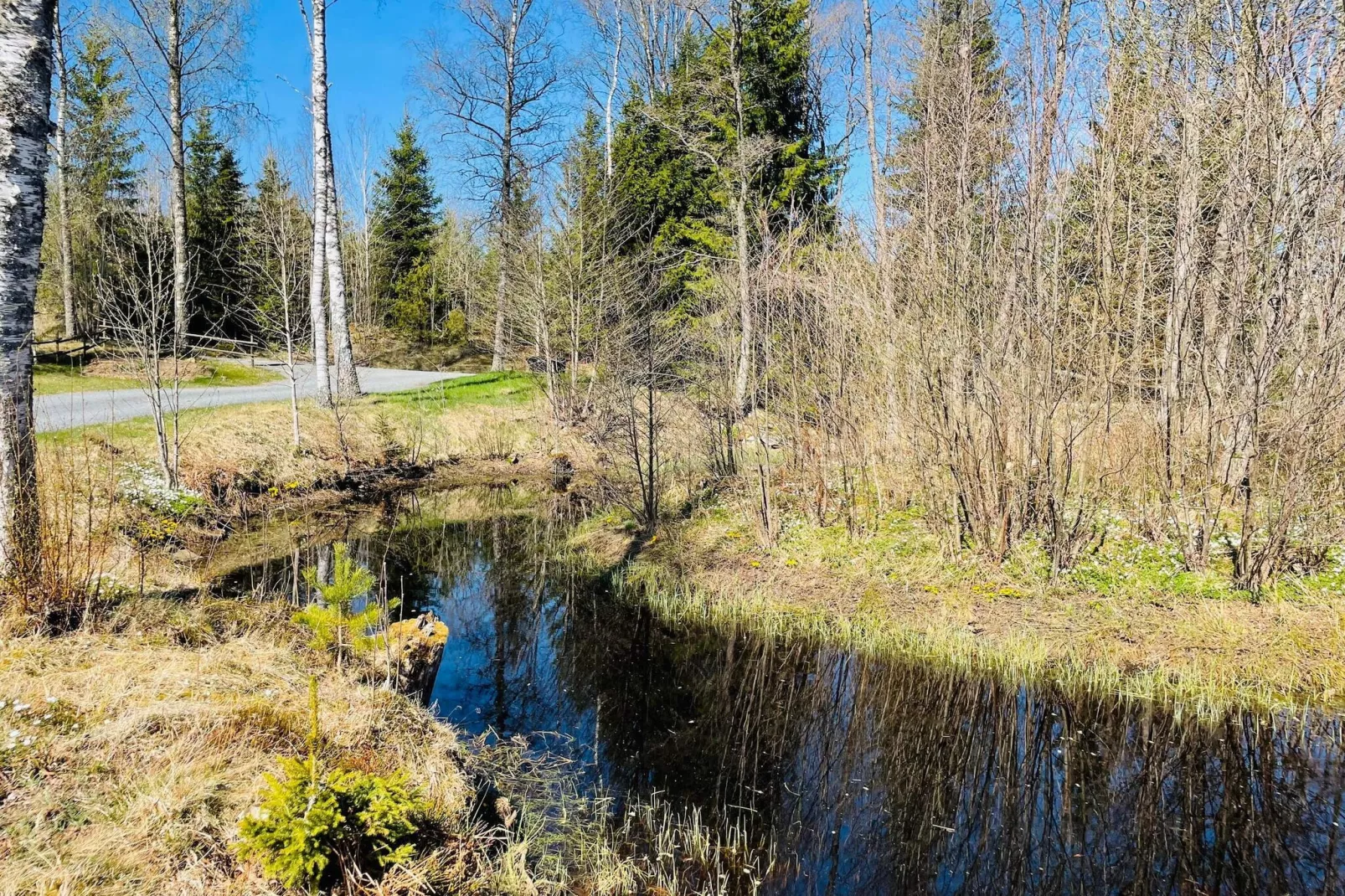 4 Sterne Ferienhaus in BODAFORS - Im Freien