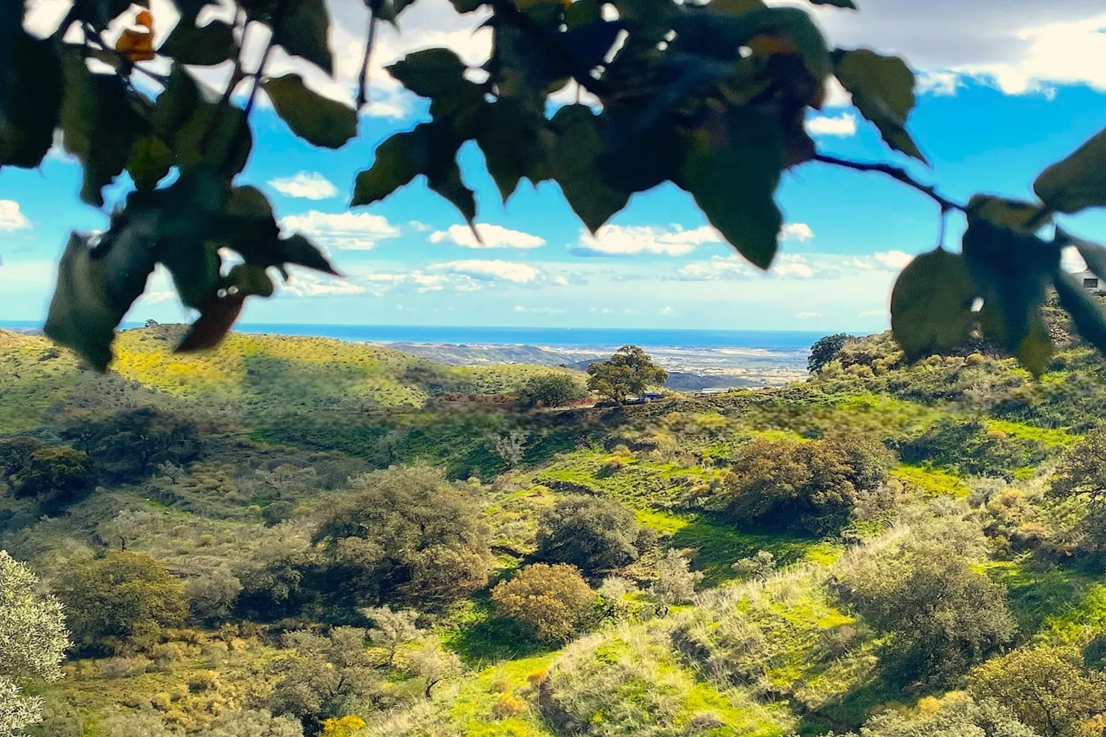 Villa Montes de Málaga - Aussicht Sommer