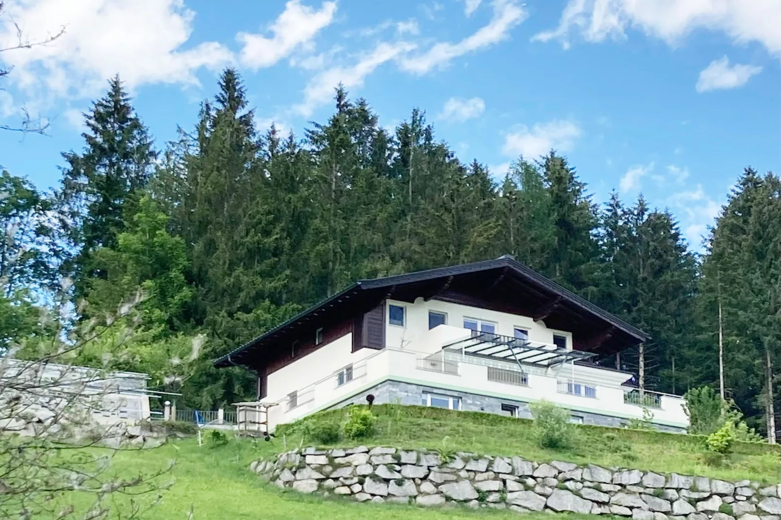 Fewo Pinzgau - Exterior in summer