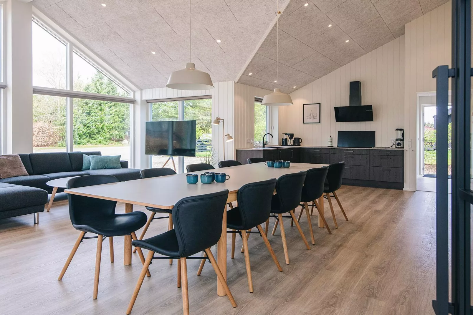 5 etoiles maison de vacances a Ansager