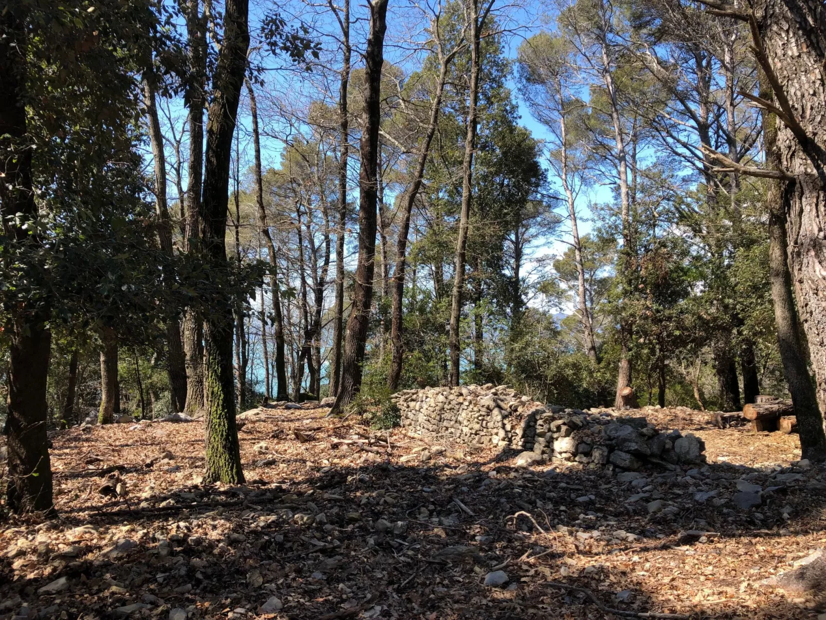 Mago in Ameglia - Outside