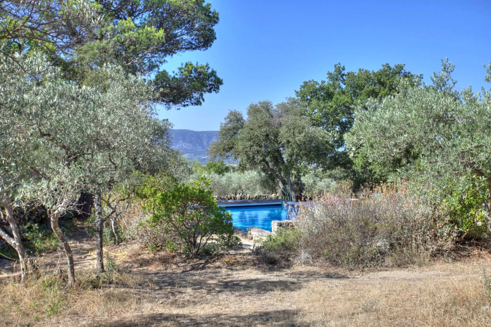 La Borie - Piscine