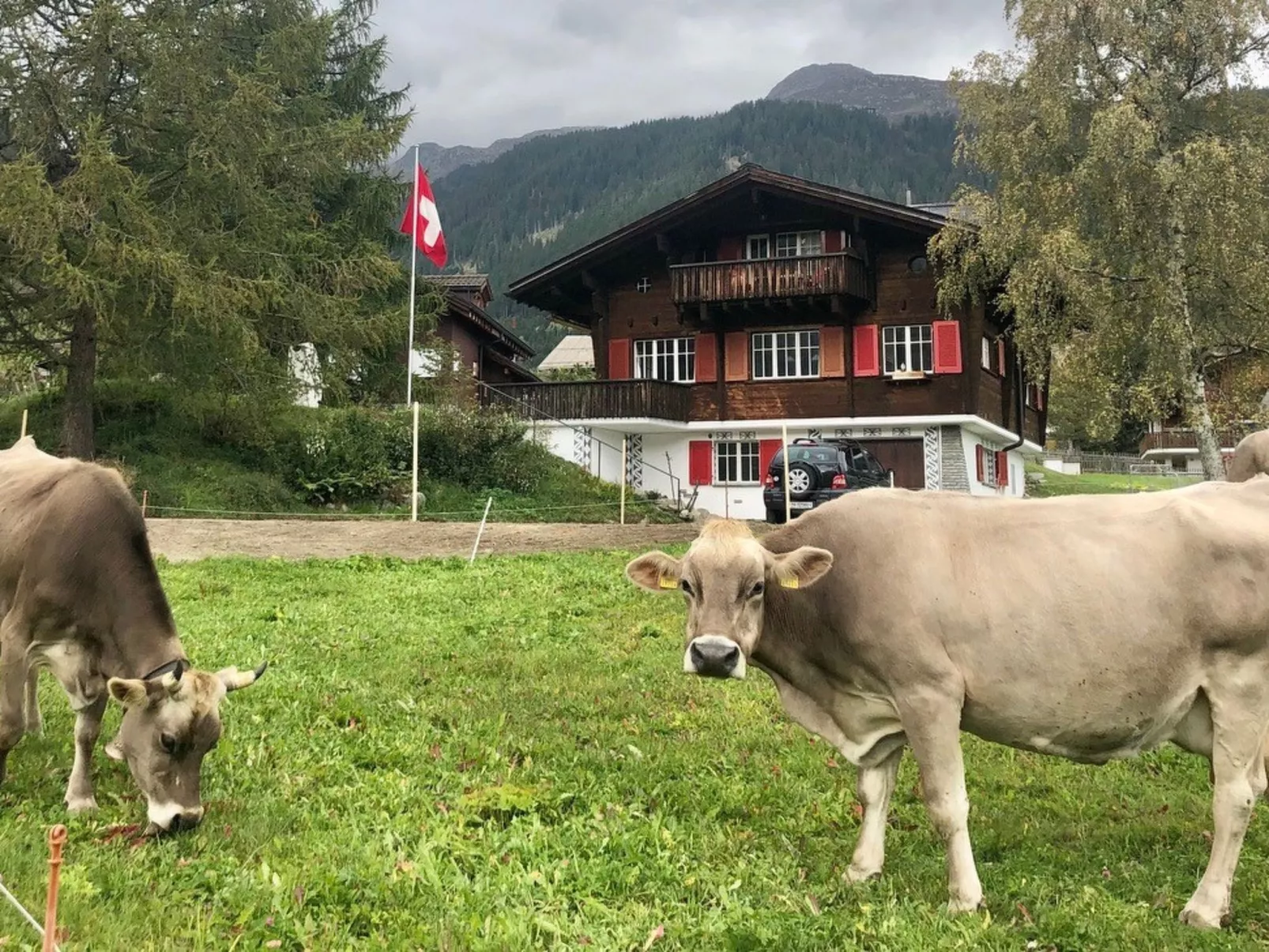 Steiger-Nellen Buretsch, (Segnas/Disentis). - Outside