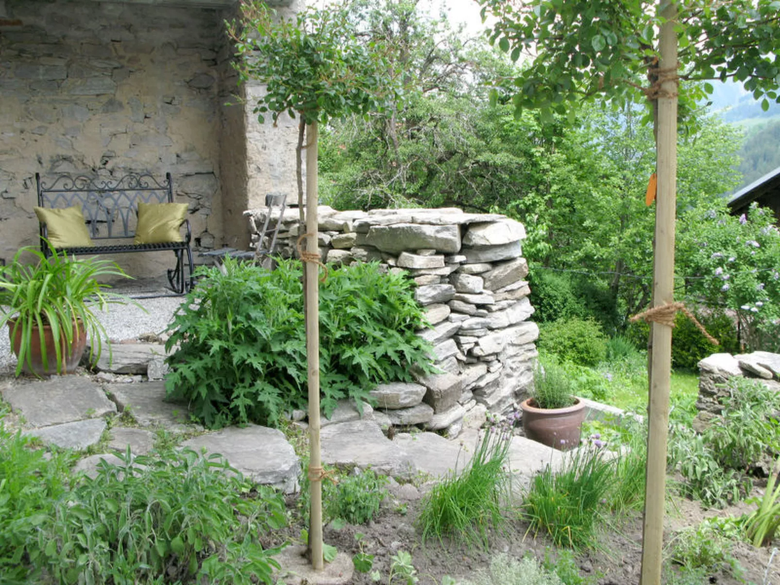 Altes Pfarrhaus, Surcasti, (Surcasti). - Draußen