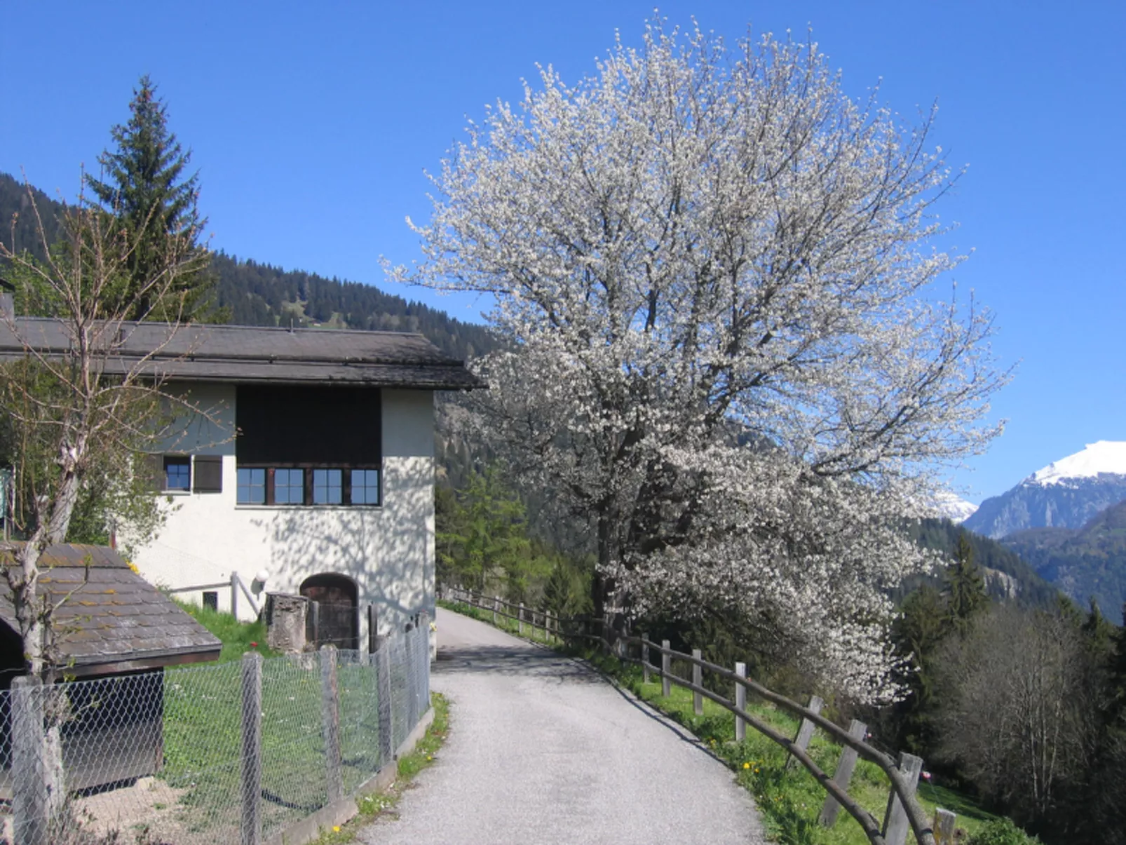 Wohnung Staudenhof, (Präz). - Outside