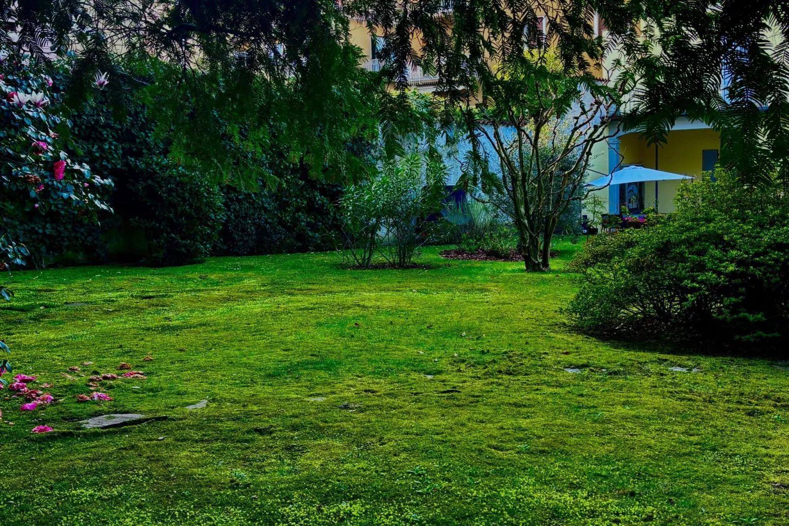 Casa Bellavita - Gardens in summer