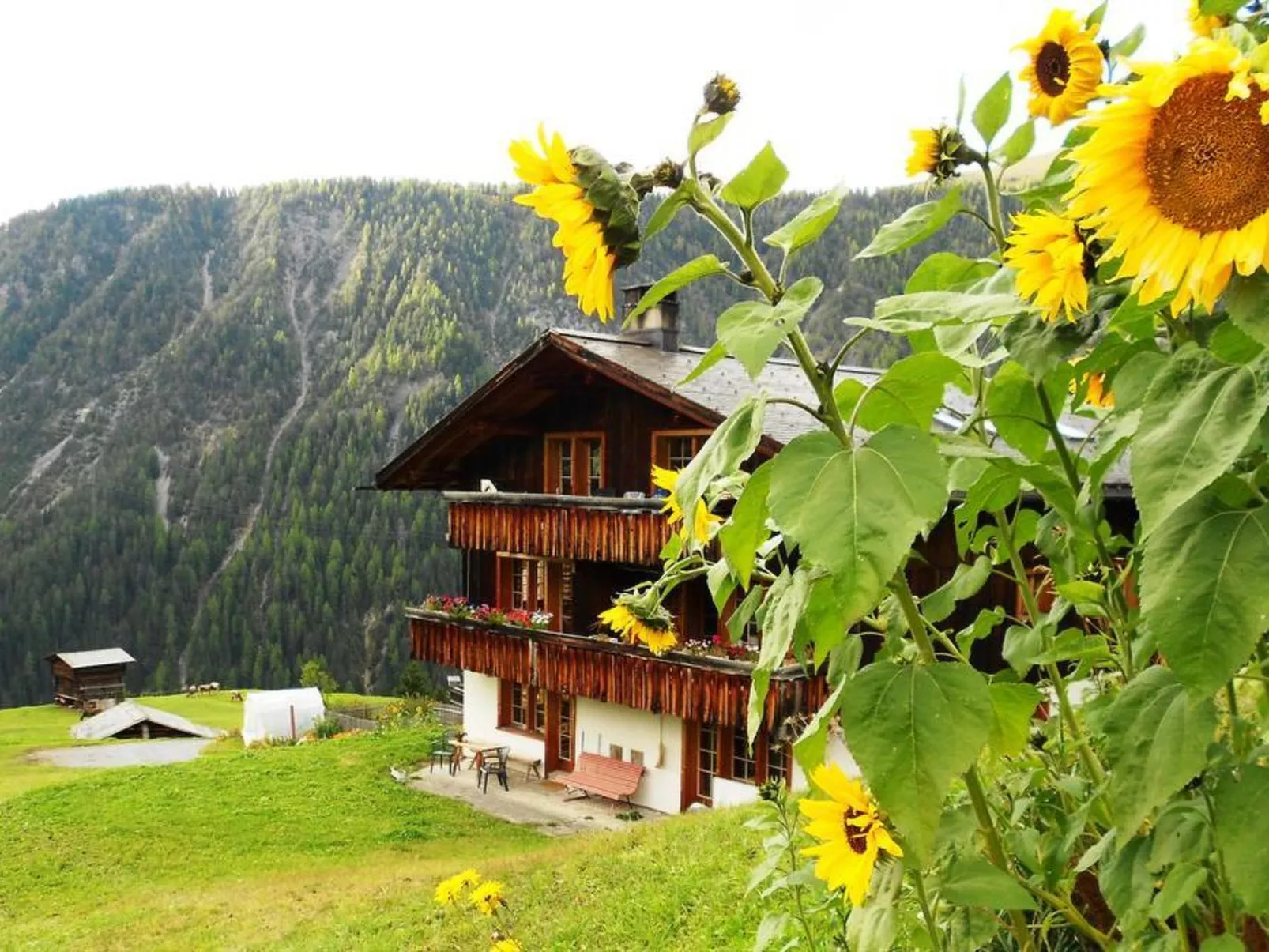 2½-Zimmerwohnung - Outside