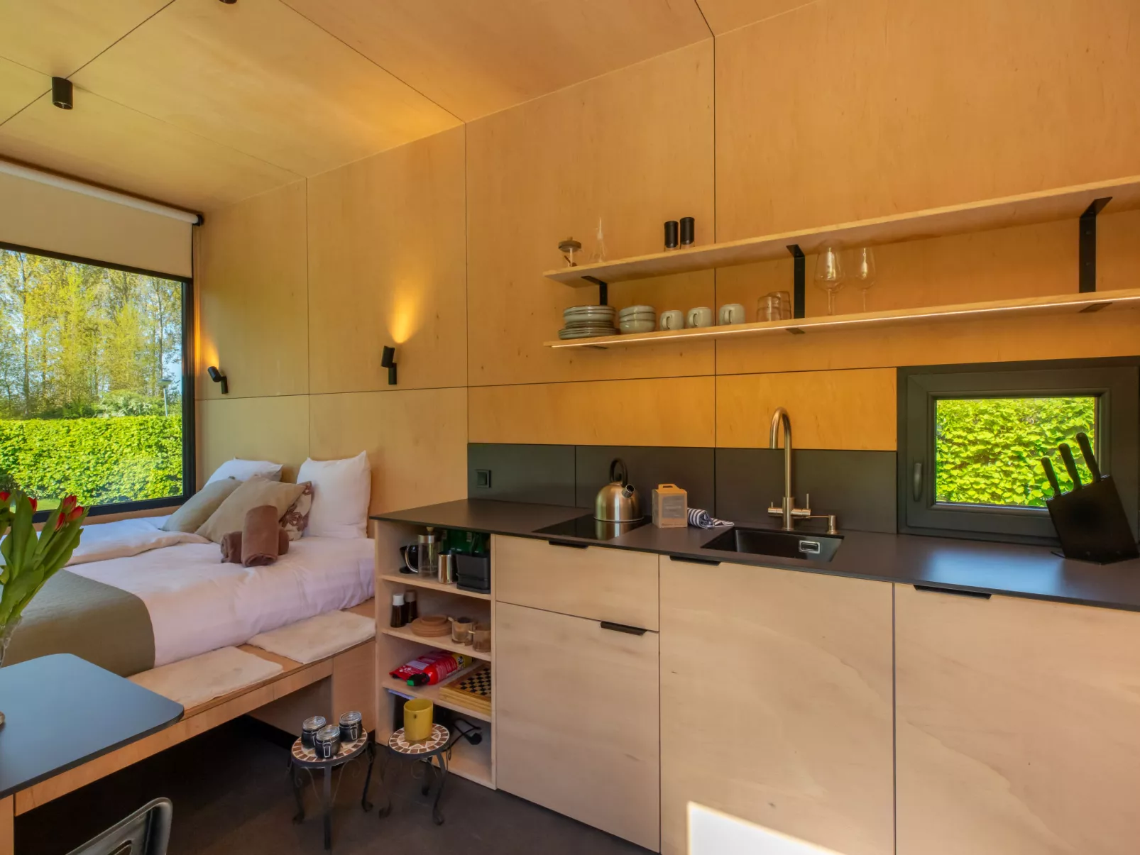 Tiny Cabin Sunshine no 21 - Dedans