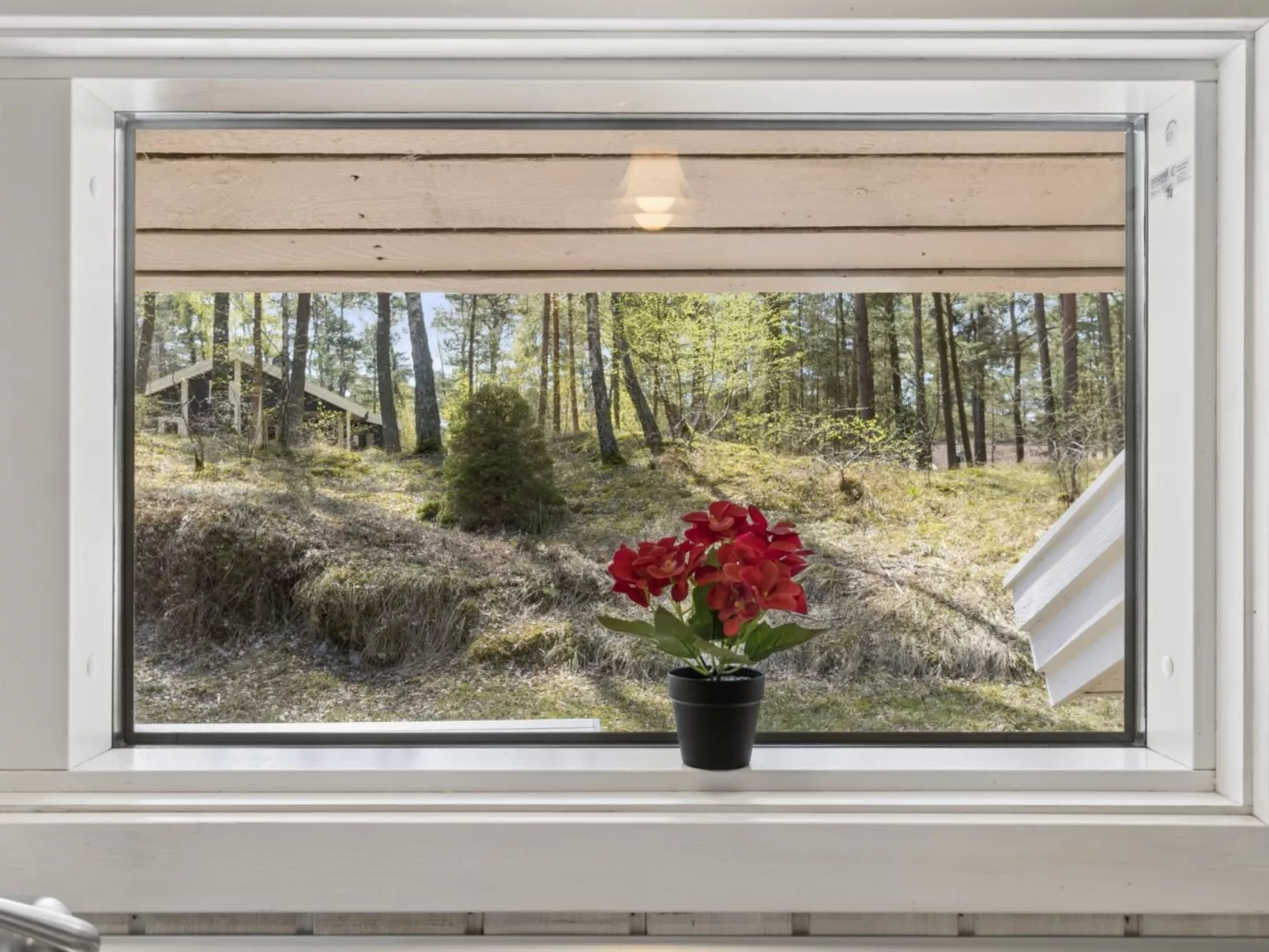 "Sylvia" - 900m from the sea - Inside
