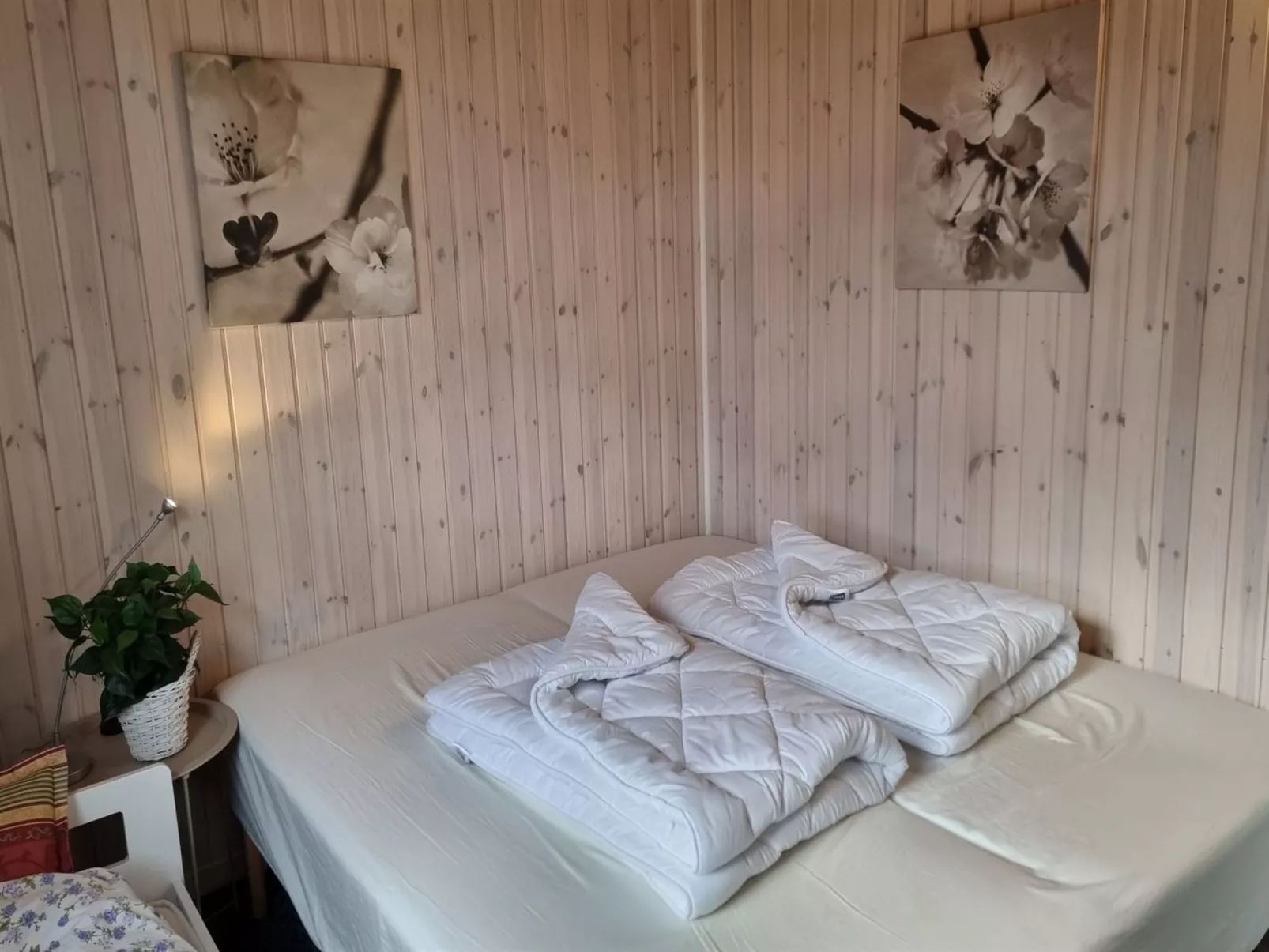"Assarina" - 15m from the sea - Drinnen