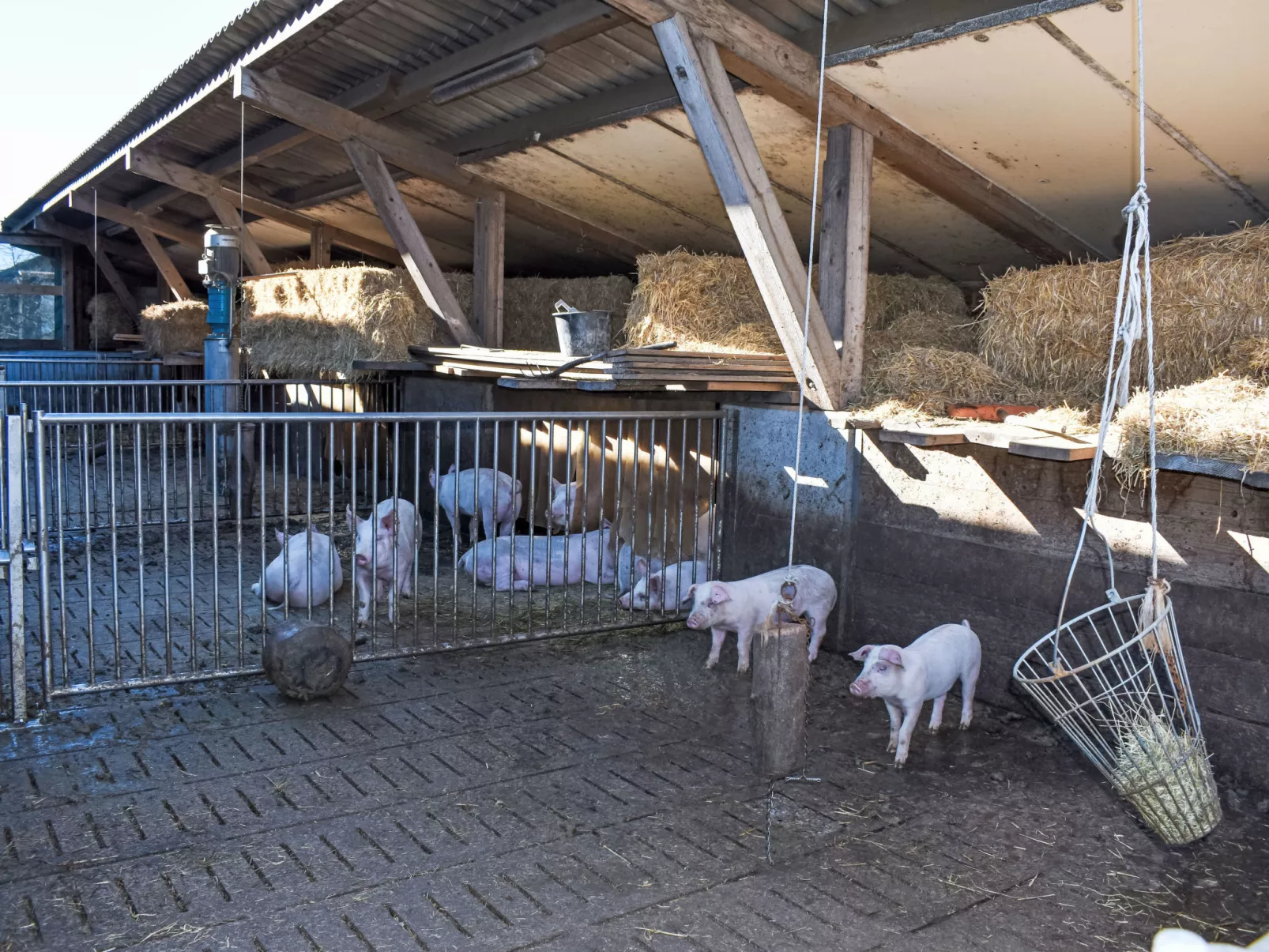 Ferienhof-Barenegg - Dehors