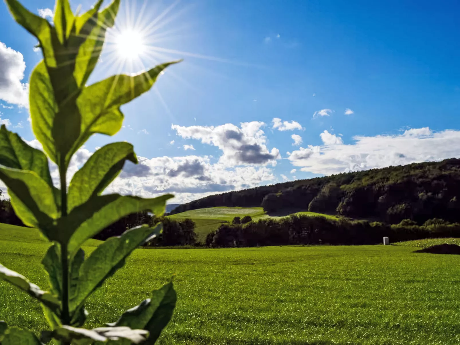 Weitblick - Drinnen