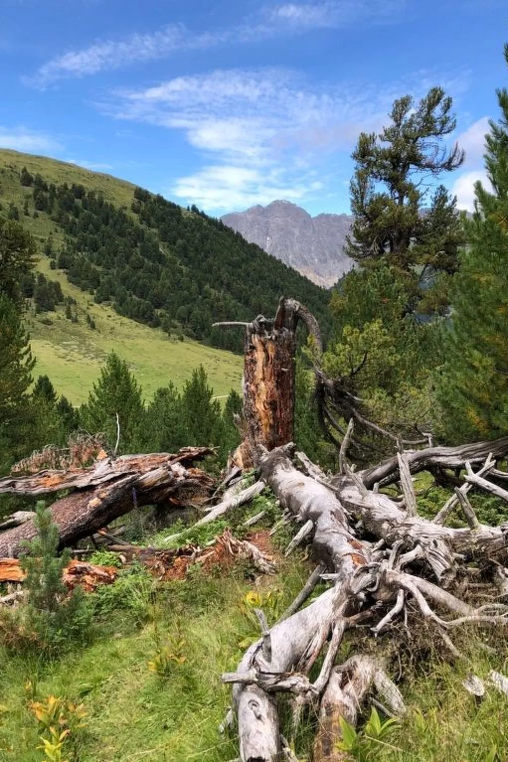 Chasa Refugi, (Müstair). - Outside