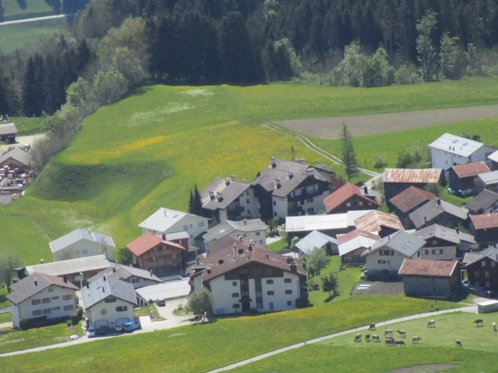 Davos Caplan Ledermann, Vella, (Vella). - Draußen