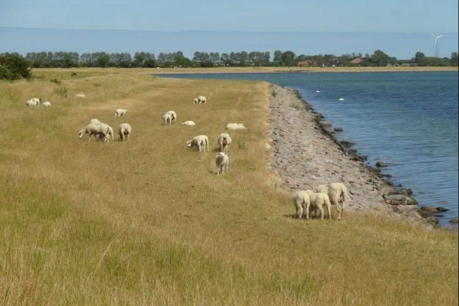 Ferienwohnung meerHAFEN - Areas within 5km in summer