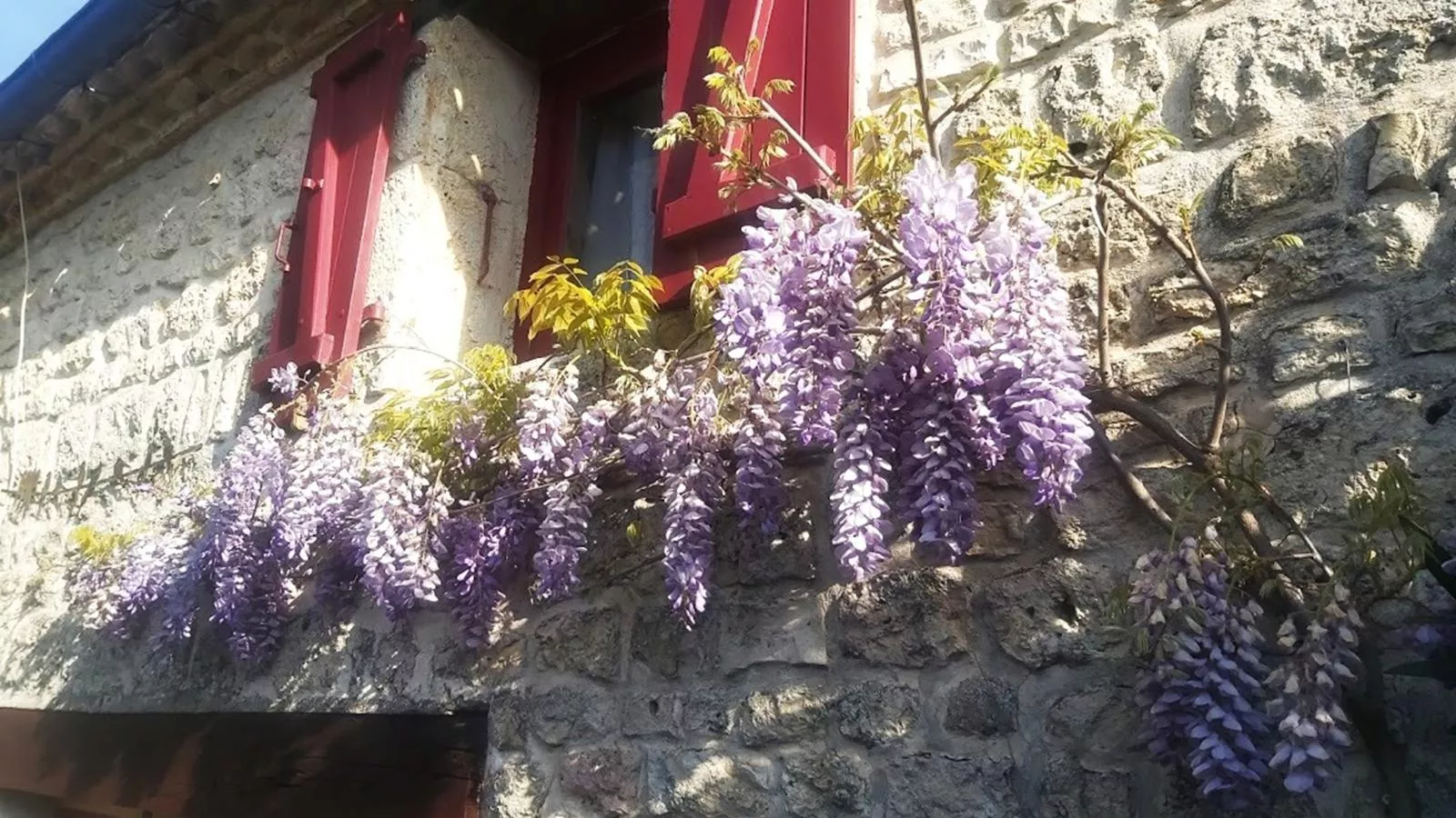 Le Bonheur - Exterior in summer