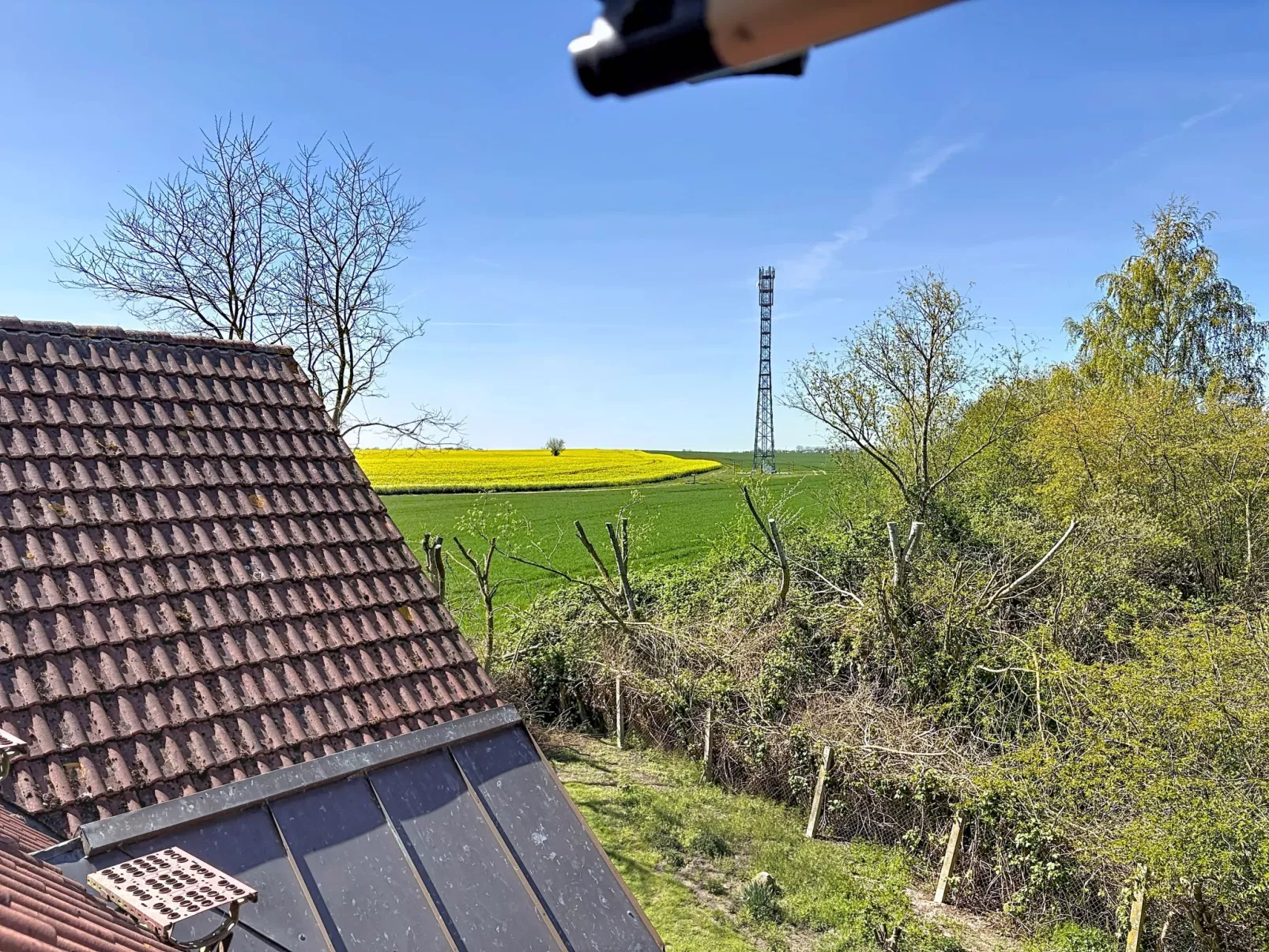 Gollwitzer Park (Insel Poel) - Draußen