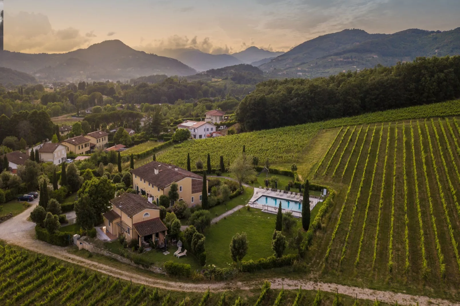 Maria Farmhouse Apartment in Wine Resort in Lucca - Außenbereich Sommer