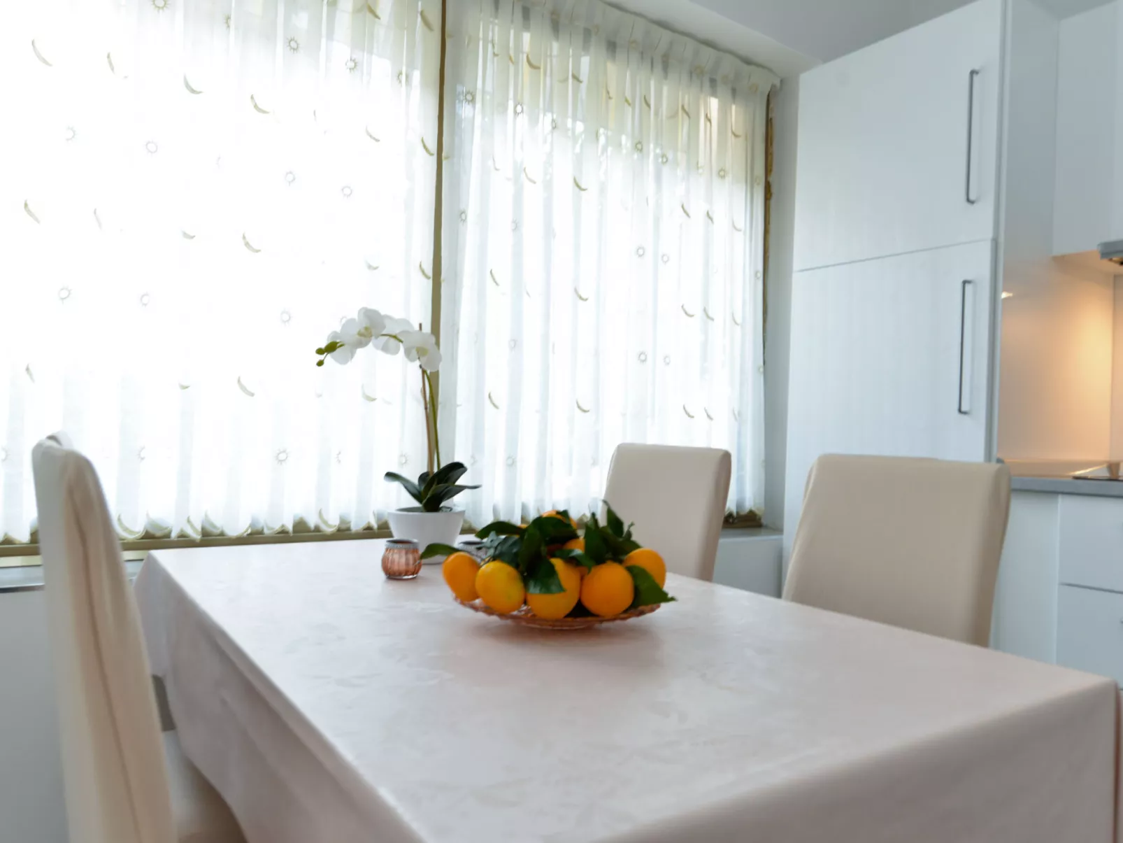 Apartment 167 - Inside