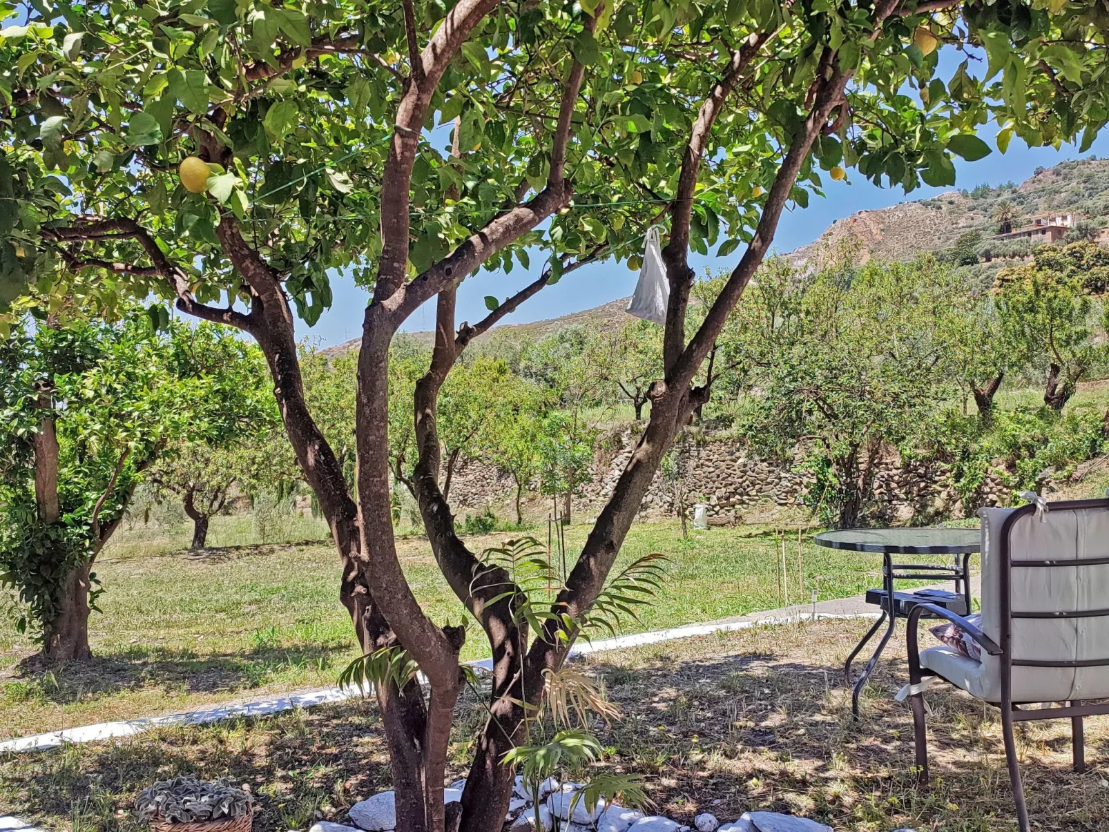 Gemütliches Haus mit Schwimmbad in La Alpujarra - Dehors