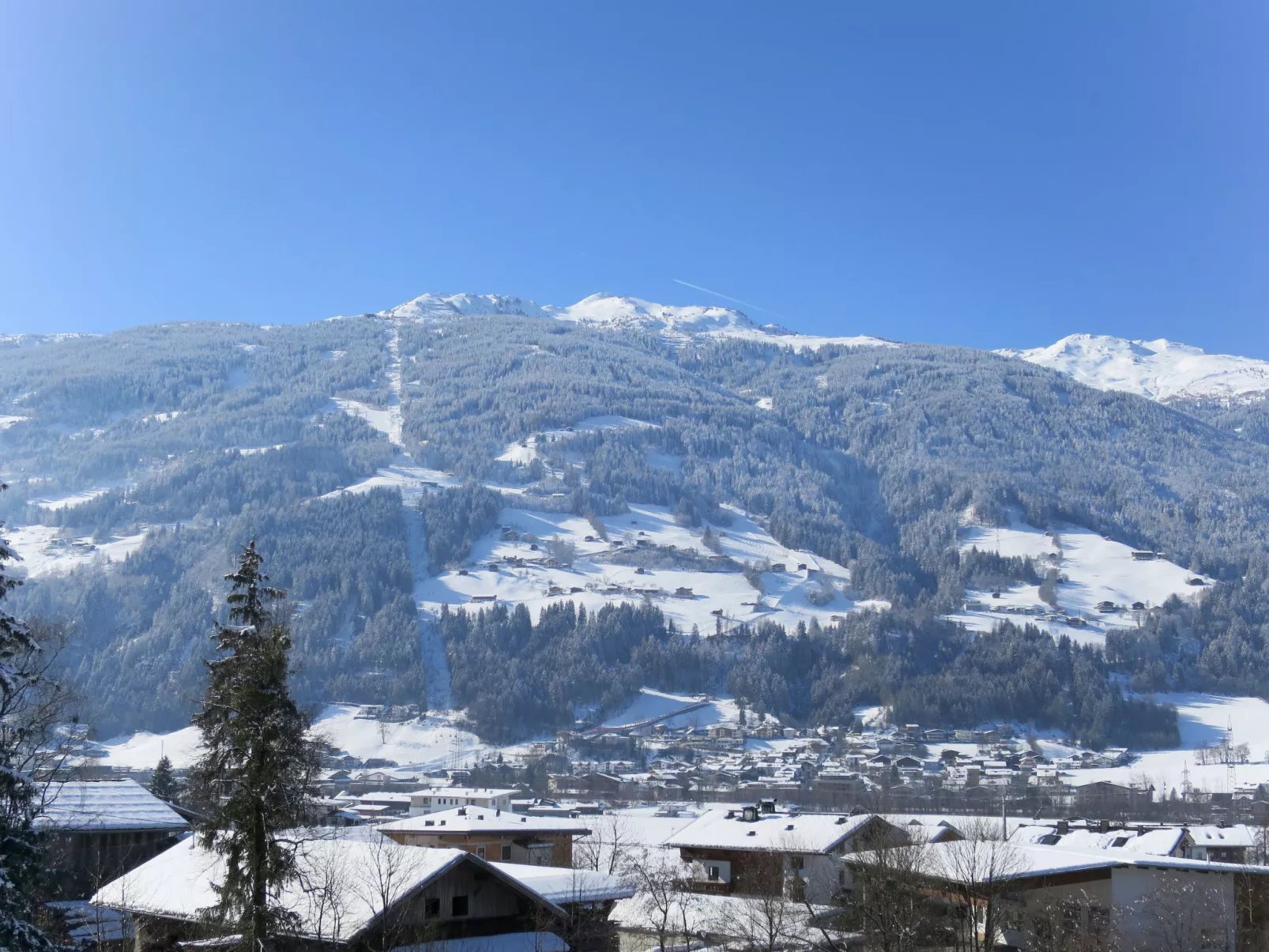 Gruber - Dehors