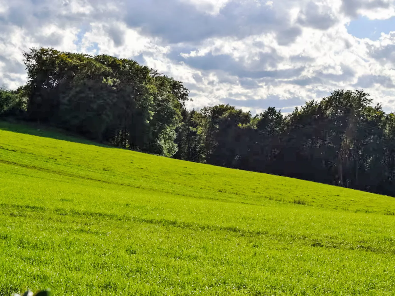 Weitblick - Draußen