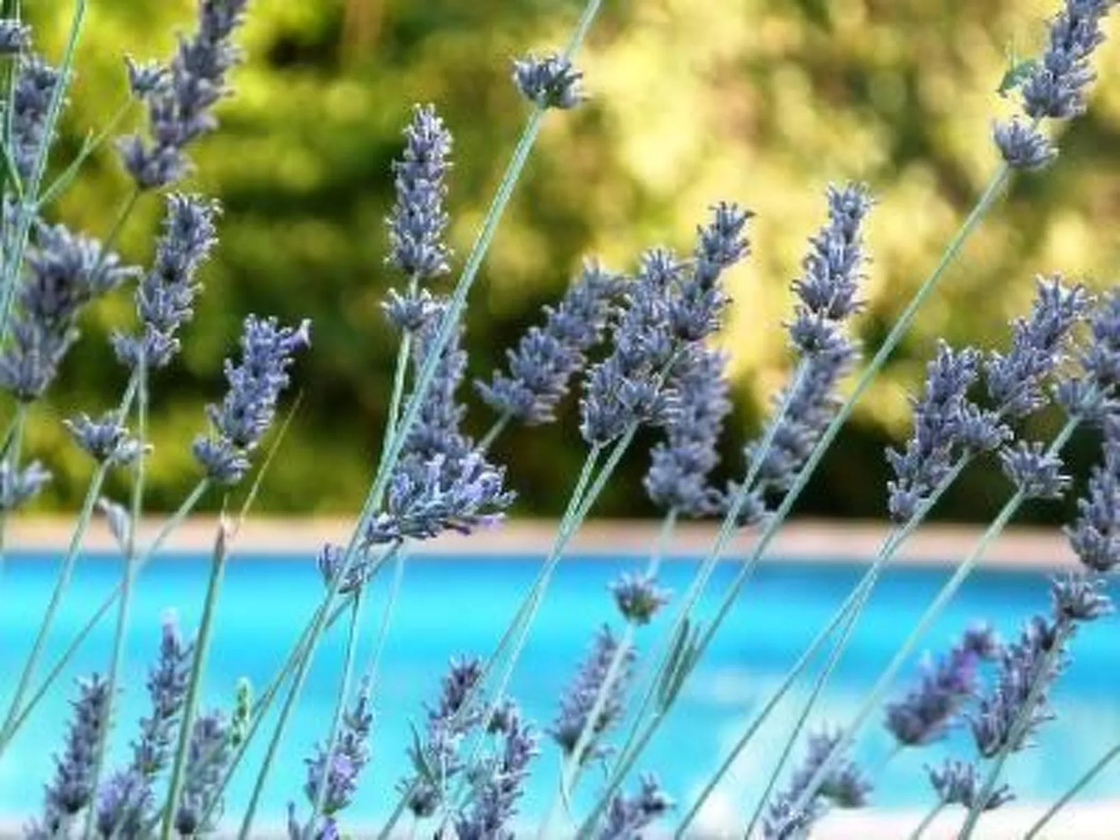 Studio für zwei Personen - Image-tags.info