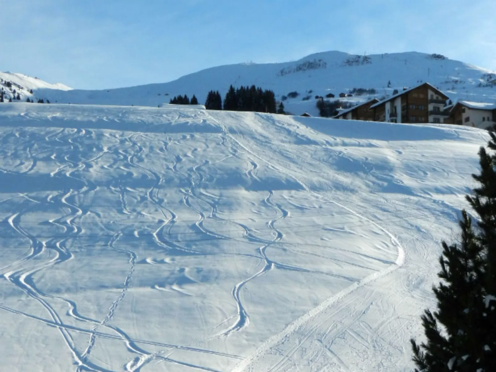 Schweizer, Obersaxen-Affeier, (Obersaxen). - Dehors