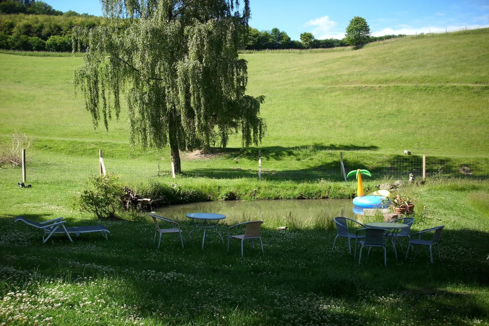Am Damwildgehege - Garten Sommer