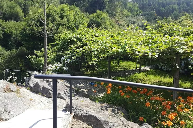 Holiday home Vale de Cambra - Terrasse