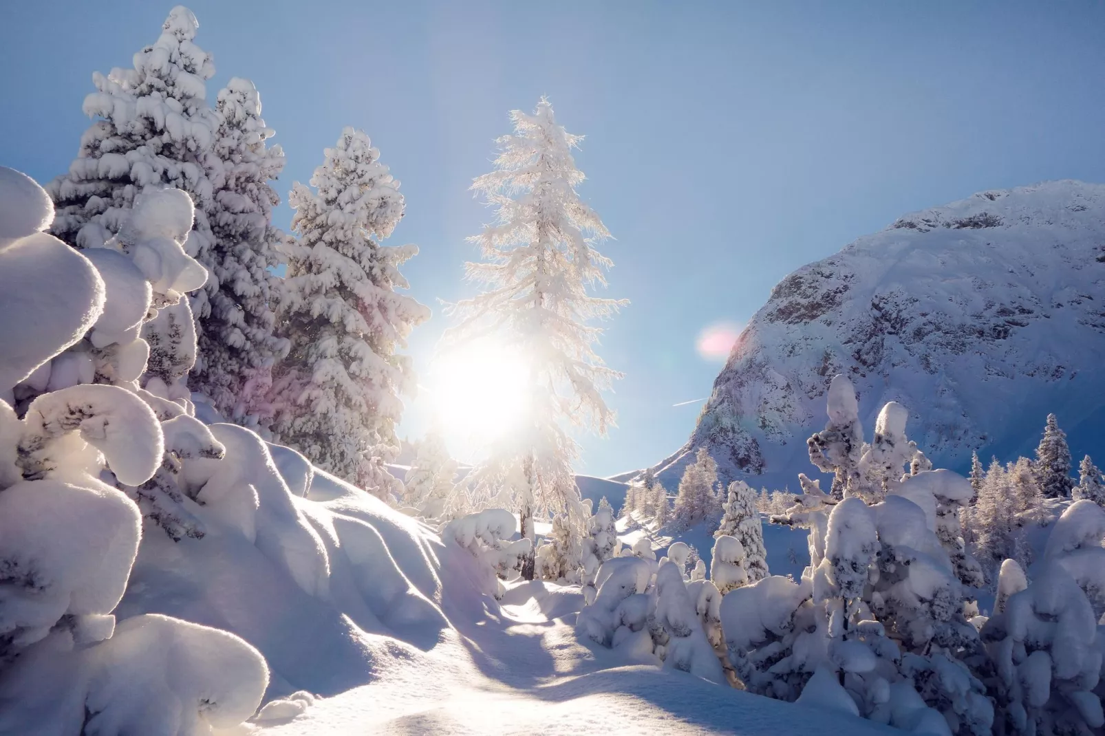 Apartment Top 3 - Area within 5km in winter