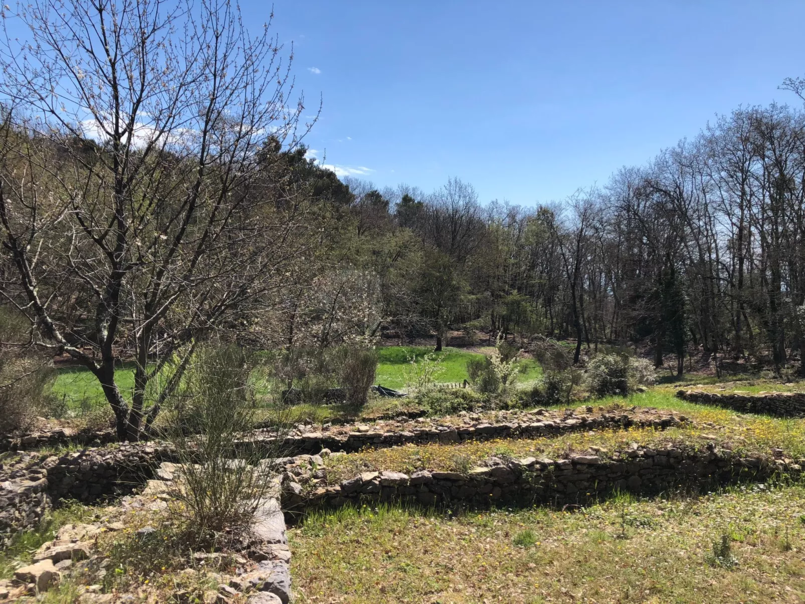 Mago in Ameglia - Outside