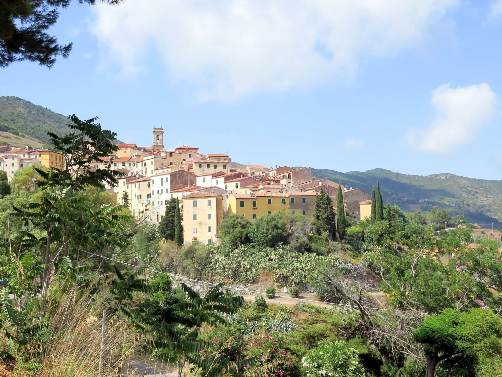 Serena-Area