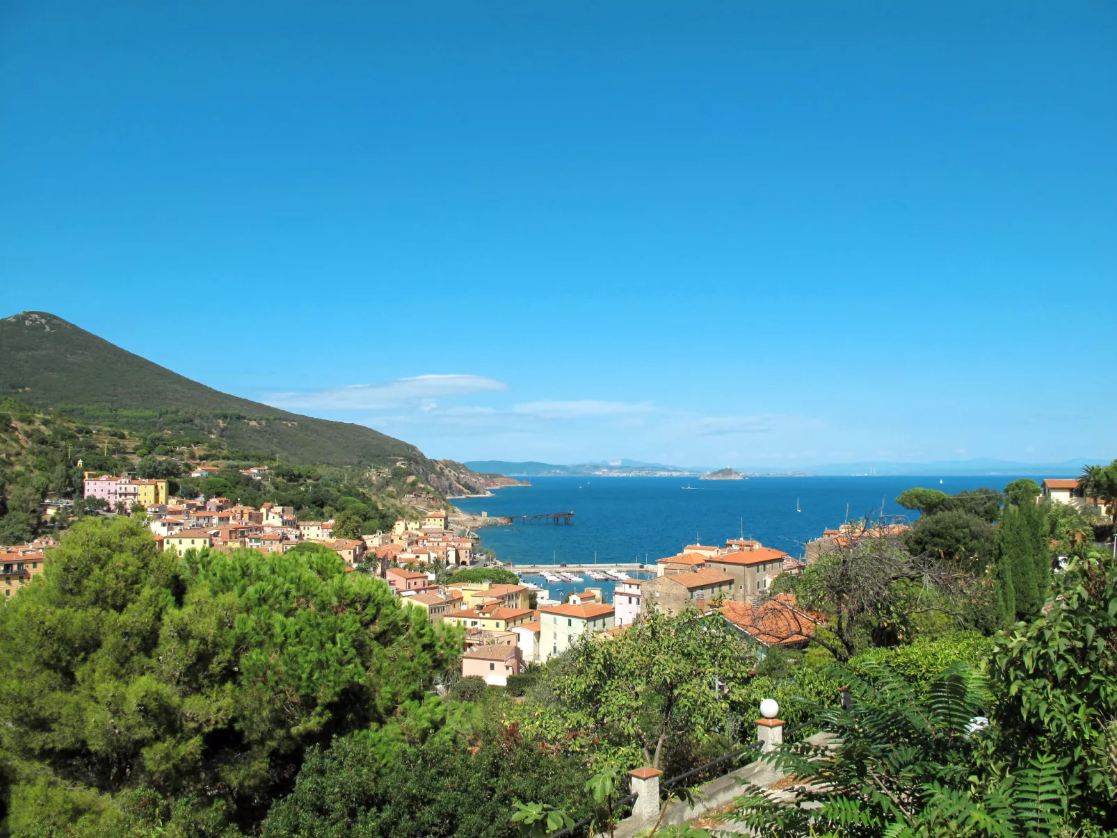 Serena-Area