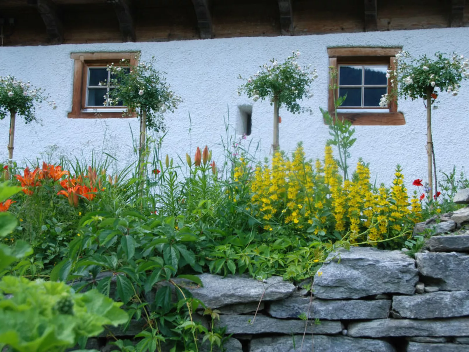 Altes Pfarrhaus, Surcasti, (Surcasti). - Draußen