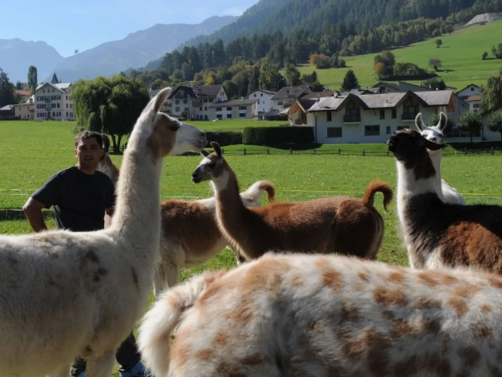 Agrotourismus Bauernhof Puntetta, (Müstair). - Outside