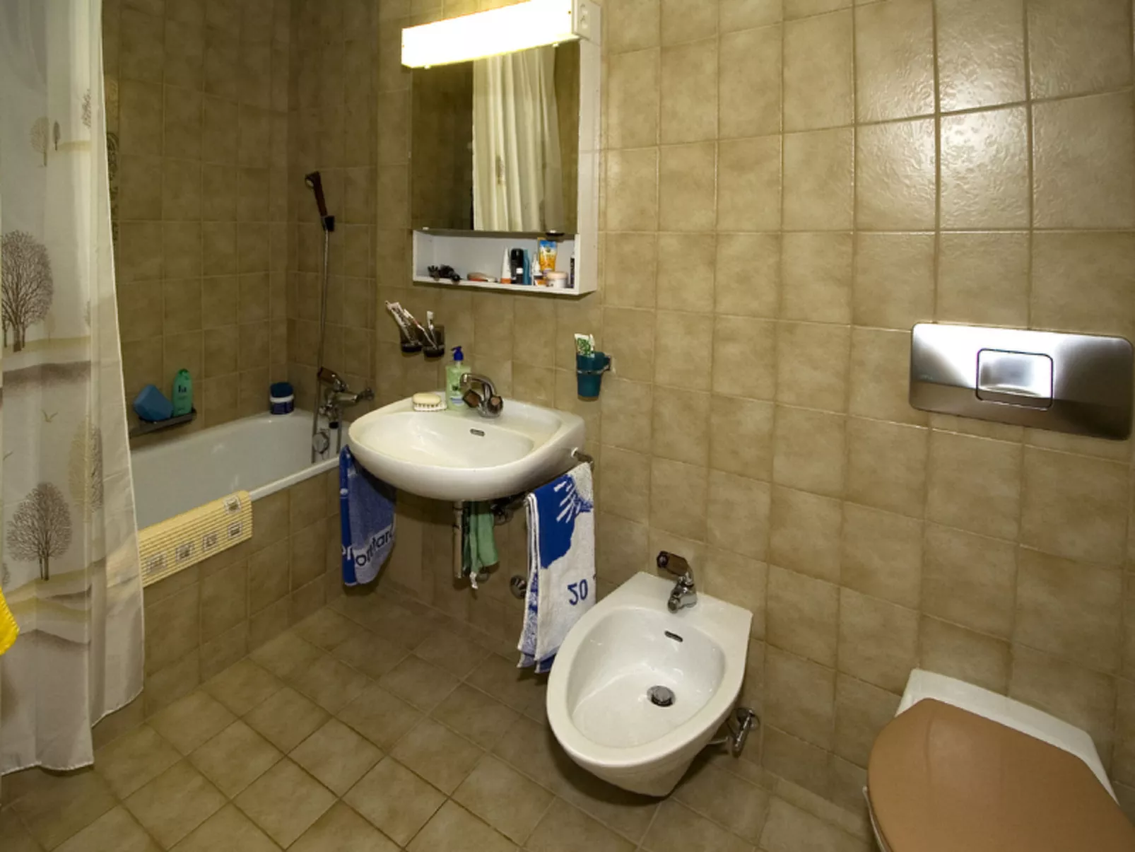 Wohnung Lippmeyer, (Splügen). - Drinnen