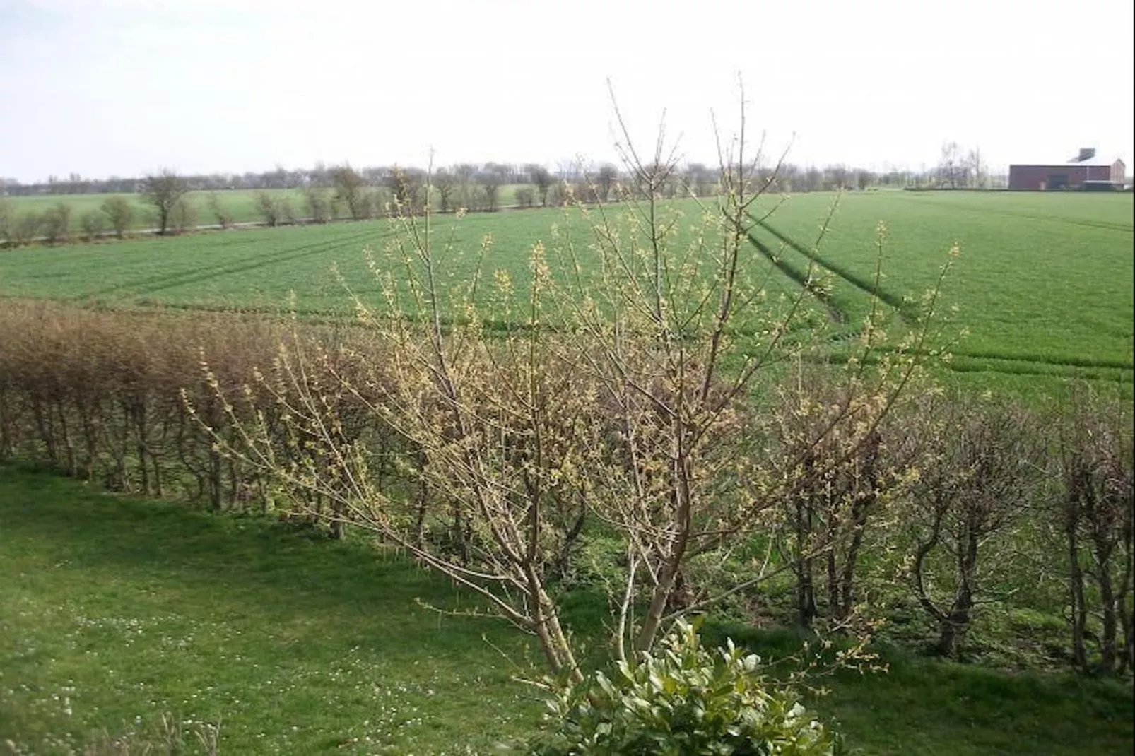 Ferienwohnung Balkon und Aussicht