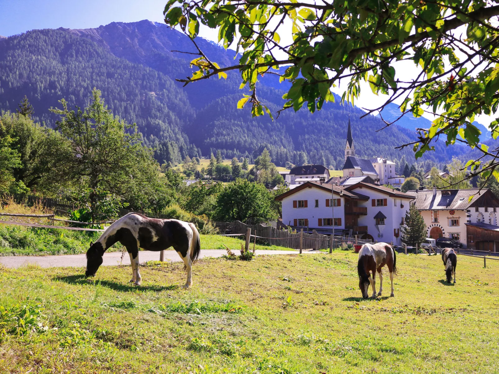 Ferienwohnungen Paclerahof, (Sta. Maria - Santa Maria Val Müstair). - Outside